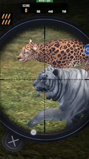 Tiger & Panther Hunting Game | Realistic Wildlife Hunting Gameplay#PantherHunting