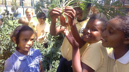 Outdoor learning for Health and Wellbeing | Learning through Landscapes