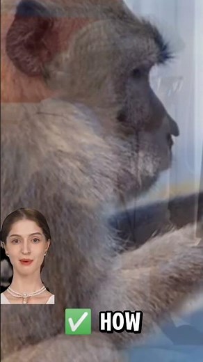 The Secret Language of Monkeys – How Do They Communicate? #monkey