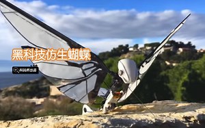 黑科技仿生蝴蝶，依靠翅膀拍动就能飞行！