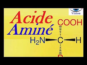 Acides Amines Structures Essentiels des Protéines Cours de Biochimie