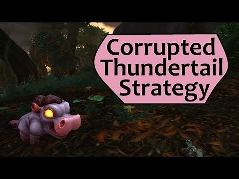 Corrupted Thundertail: Tanaan Legendary Pet Battle Strategy Guide