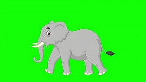Cartoon elephant walking animation on the green screen background