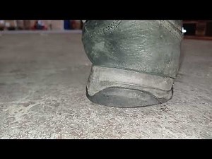 EMPTY Snail Shell Walkover Crush. Destroyed by my dirty size 11 boots 👣👣