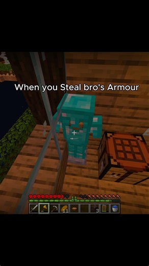 When You Steal Your Bro’s Armor 💀