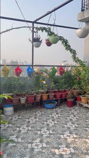 Awesome Terrace View Garden Look 🌿 | Beautiful Home Gardening Inspiration #gardening #plantlover