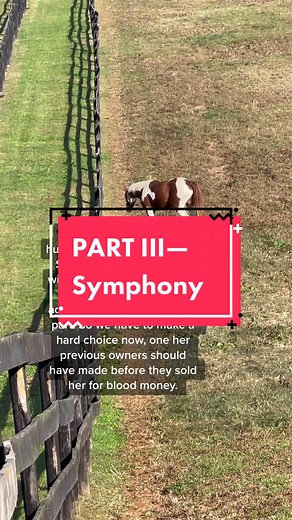 The Unfortunate Journey of Symphony: A Tale of Kindness and Heartbreak