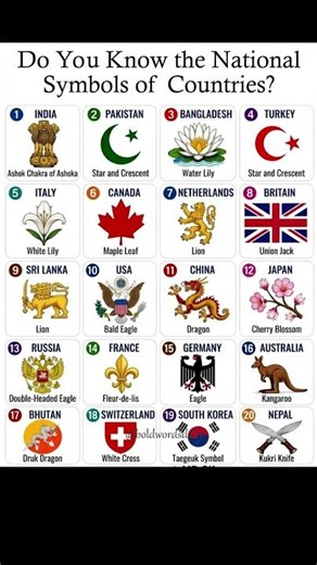 Major countries and their national symbols! Ultimate general knowledge exam guide! 🌎📊