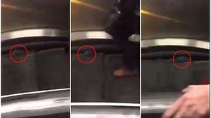 Exclusive: NYC Subway rat spotted riding an escalator