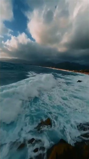 Nature Unfolded 🌿 | Nature Videos & Relaxing #short #viral #mostviral #nature #tiktok #deepsea