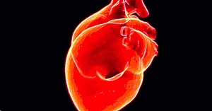 Types de tachycardie: symptômes et causes possibles - yes, therapy helps!