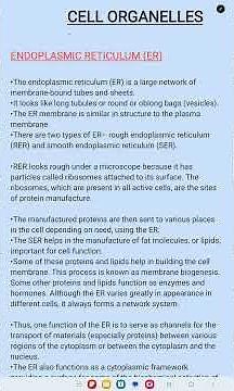 Endoplasmic reticulum in 2 minutes# Endoplasmic reticulum explained easily# RoughER Vs Smooth ER