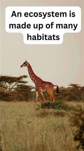 Habitat or Ecosystem? | Science for ML, ELL, EL, ESL