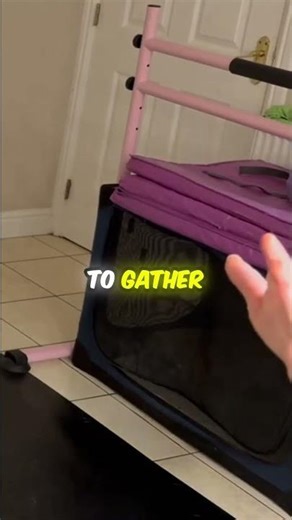 Saving My Chickens from a Fox 🐔🦊🩰 | Ballet Storytelling