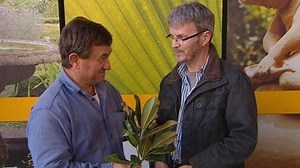 Ask It/Solve It - Plant ID | No passionfruit - Gardening Australia