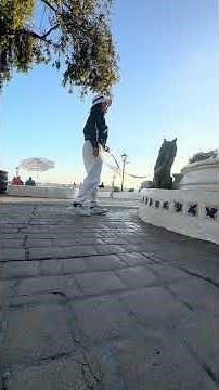 🐶🦮Off leash Dog Training / Obedience Training 🦮🐶