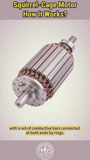 Squirrel Cage Motor How it Works #electrical #electricalindia #electricalengineering #electrician