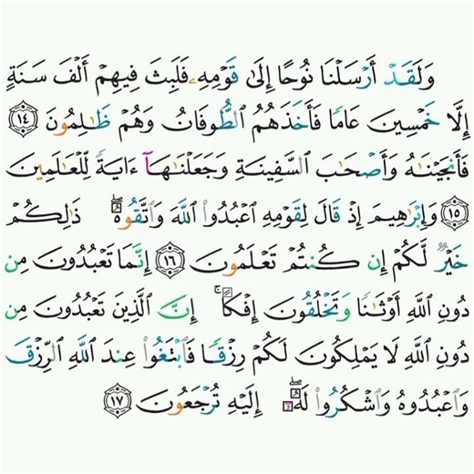 29 - سورة العنكبوت ١٤-١٧ - محمد المحيسني