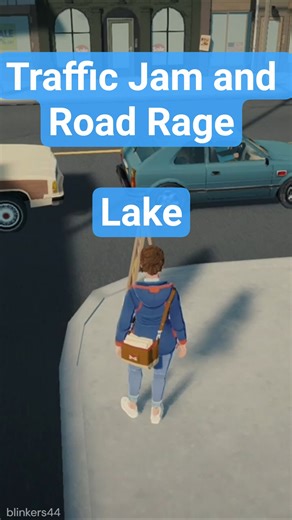 Traffic Jam and Road Rage in Lake