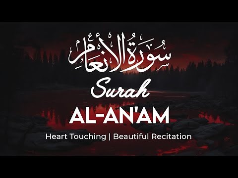 Surah Al-An'am | Beautiful Recitation By Sheikh Mohammed Ayub