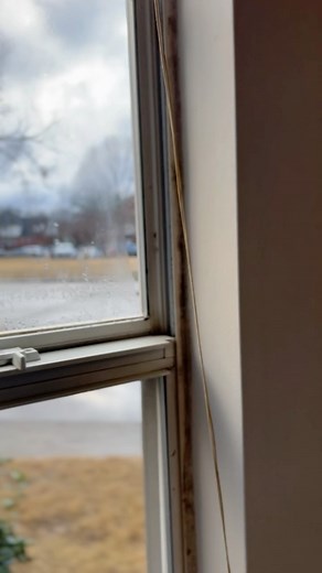 How to remove mold / mildew from your window casing with one simple spray 👌 make sure you let it soak for 10-15 mins prior to cleaning it up. This was an apartment so there’s only so much I’m able to do before it interferes with maintenance requests and issues. I think once they do their part - the resident will feel so much better ♥️.....#today #asmr #asmrsounds #asmrvideo #asmrtiktoks #asmrsound #asmrtiktok #fyp #beautiful #asmrsoundsdaily #asmrcleaning #asmrvideo #nashville #tennessee #small