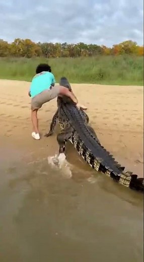 Ep 54: Funny Crocodile Moments That Will Make You Laugh 🐊🐊🐊 #FunnyCrocodile #PetCrocodile