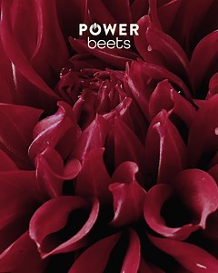 325 reactions · 38 shares | Experience the unbeatable power of Power Beets — delicious fuel for unstoppable performance. Feel the difference in 1 minute. | Nature's Sunshine Products, Inc. | Facebook