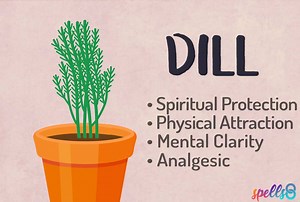 Dill: Soothing Ingredient of a Magickal Kitchen