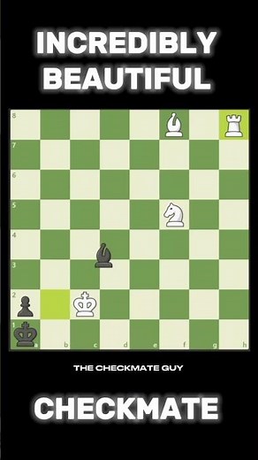 Incredibly Beautiful Checkmate You’ve Never Seen Before ♟️🔥