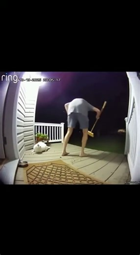 Man Fights Off Raccoon Attacking His Cat 🦝🐈 | Real Ring Doorbell Footage
