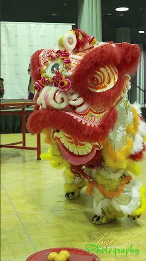 Timeless Elegance of China’s Traditional Performance Art