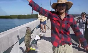 Fishing: No Name Key Bridge (Big Pine Key, Florida)