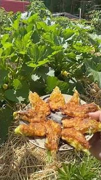 Cooking zucchini Flowers! 🍳 #foryou #garden #cooking #recipe #homestead #couple