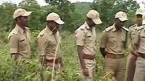 Special force to tackle tiger poaching menace in Karnataka