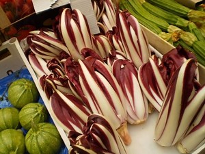 Radicchio of Treviso