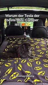 Why the Tesla is the best mini-camper ⛺️✨