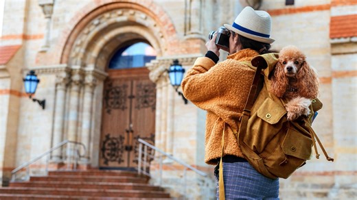 Your Pet's Life Depends on Choosing the Right Airline - Here's Which Ones Are Safest