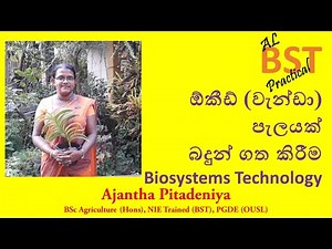 BST Practical | Potting a Orchid Plant | Biosystems Technology