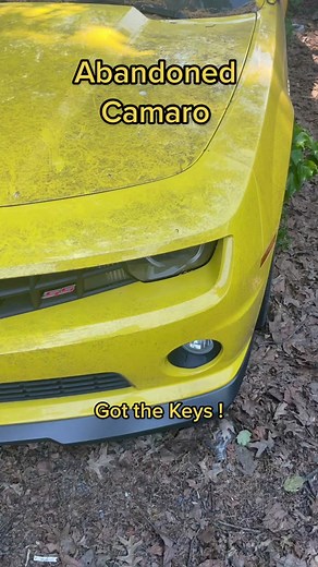 Abandoned Camaro Restoration - Junkyard Car Resurrection