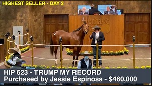 7.6K views · 176 reactions | 2021 Heritage Place January Mixed Sale Day 2 Recap from Oklahoma City | Stallionesearch.com | Facebook