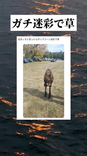 あれはポップコーンカモ #tiktok #tiktokvideo #youtube #shorts #youtubeshorts #おすすめ #おもしろ #面白い #twitter #写真 #草