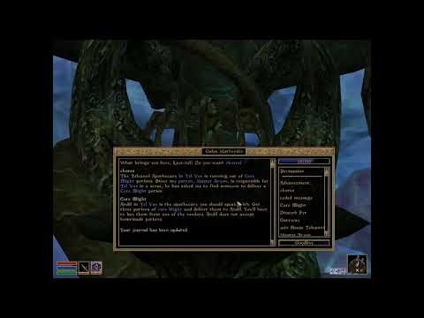 Morrowind: When You Know De Way