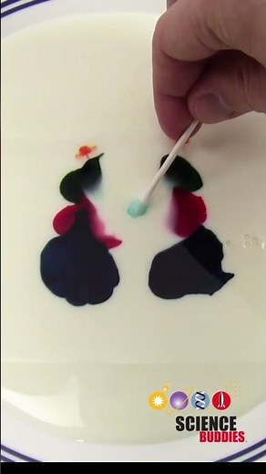 Rainbow Milk Science Experiment