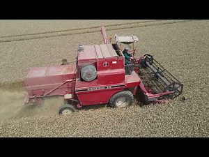 Moissonneuse-Batteuse Case 923 : Blé 2021