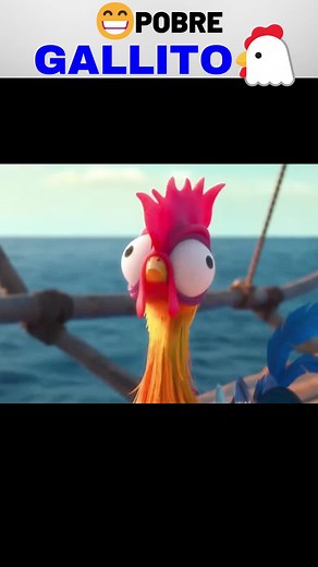 El Gallito de Moana: Aventuras y Diversión
