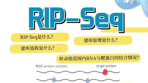这个介绍RIP-seq的视频可太棒了