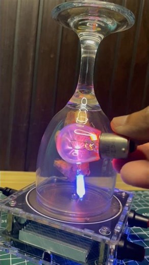 Ginger🫚+ Glass🍷+ Bulb💡| Tesla Coil Experiment #highvoltage #teslacoil #scienceexperiment