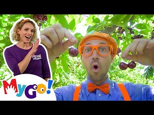 Blippi Visits a Cherry Farm | Blippi | MyGo! Sign Language for Kids | Educational Videos for Kids