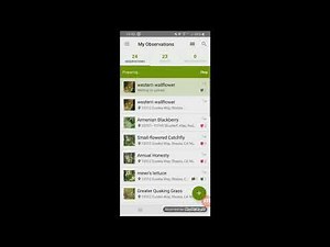How to Use iNaturalist on Android Phones