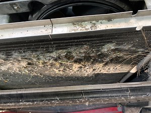 Running hot solved! Look at my fuzzy Radiator. - CorvetteForum - Chevrolet Corvette Forum Discussion